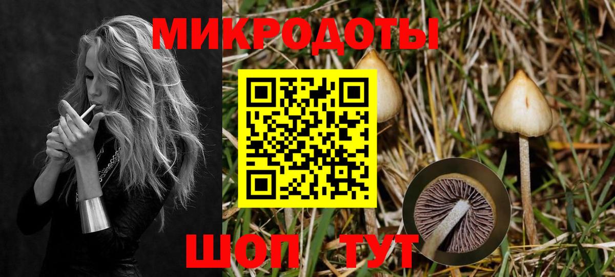 Псилоцибиновые грибы MAGIC MUSHROOMS  Вход с VPN  Галлюциногенные грибы прущие грибы  Вязьма 