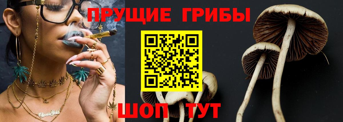 Галлюциногенные грибы MAGIC MUSHROOMS Вязьма